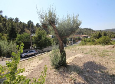 3551799-fa64a838
